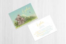 Koalabeertjes Koalabeertjes